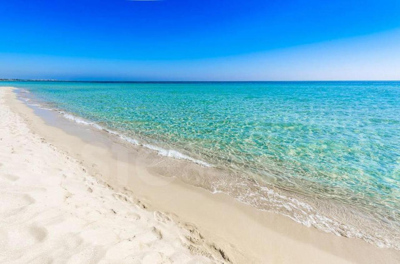 Il Girasole, Distante Solo 200 Mt. Reali Dal Mare Lejlighed Lido Marini Eksteriør billede