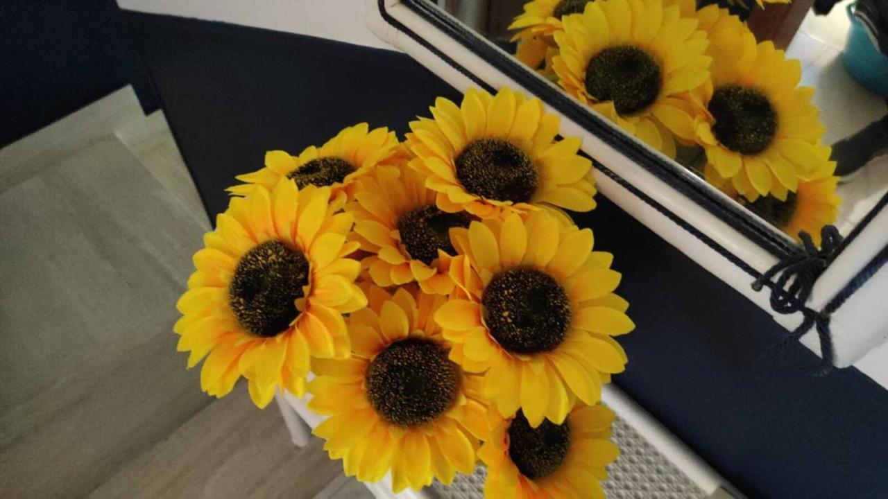 Il Girasole, Distante Solo 200 Mt. Reali Dal Mare Lejlighed Lido Marini Eksteriør billede